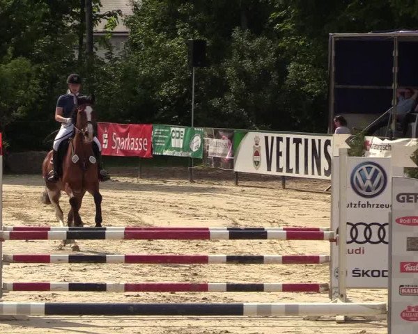 Reitturnier Hellefeld 2018