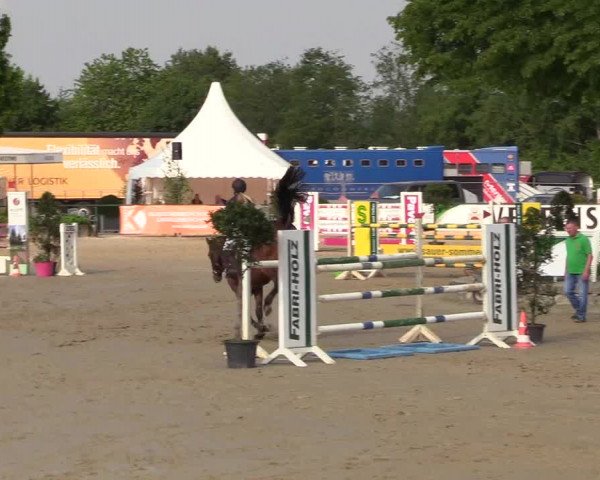 Reitturnier Hellefeld 2018