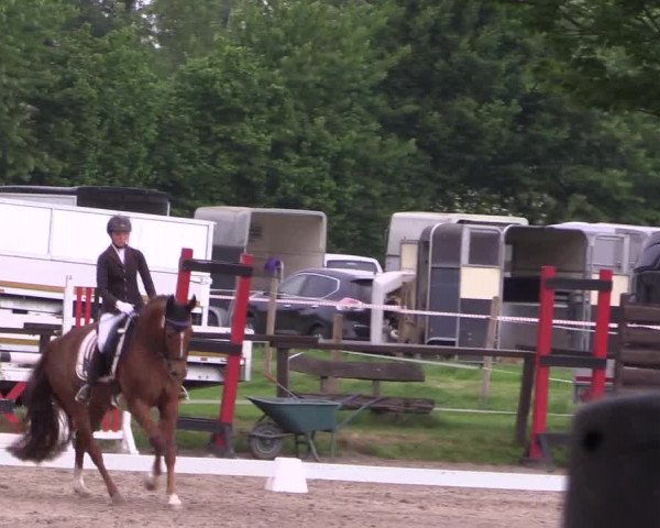 Reitturnier Ahlen 2018