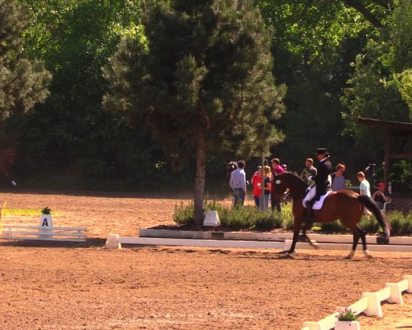 Dallgower Dressurtage 2018