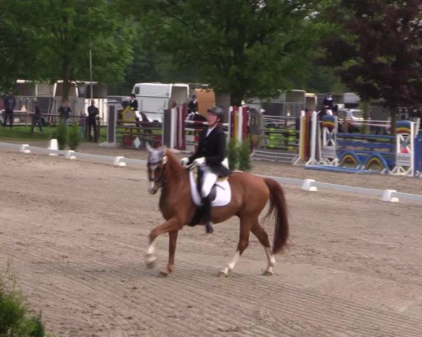 Reitturnier Ahlen 2018
