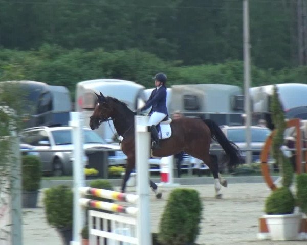 Reitturnier Ratingen-Lintorf 2018
