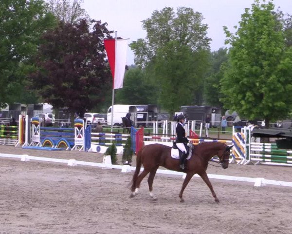 Reitturnier Ahlen 2018