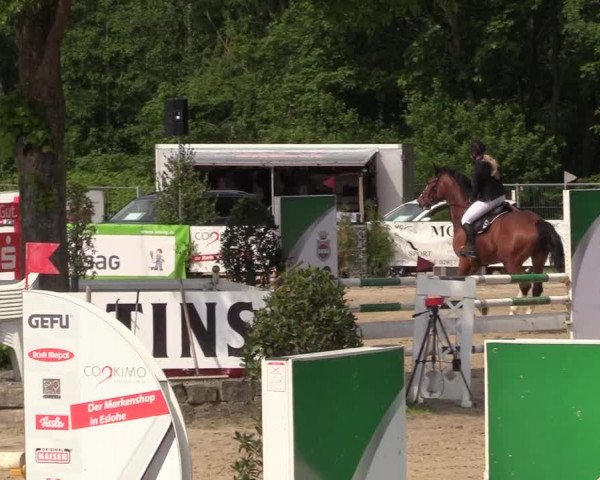 Reitturnier Hellefeld 2018