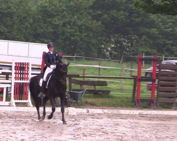 Reitturnier Ahlen 2018