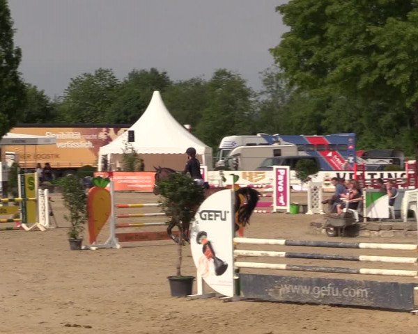 Reitturnier Hellefeld 2018