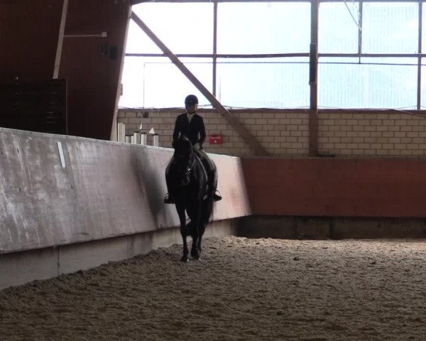 Reitturnier Hellefeld 2018