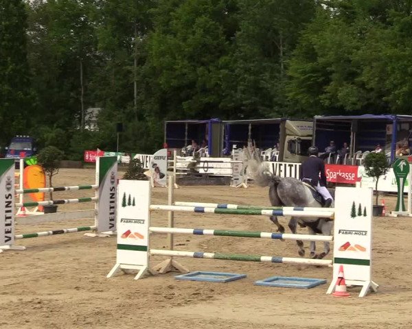 Reitturnier Hellefeld 2018