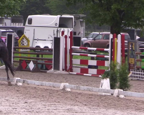 Reitturnier Ahlen 2018