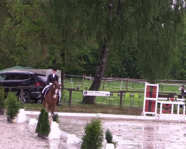 Reitturnier Ahlen 2018