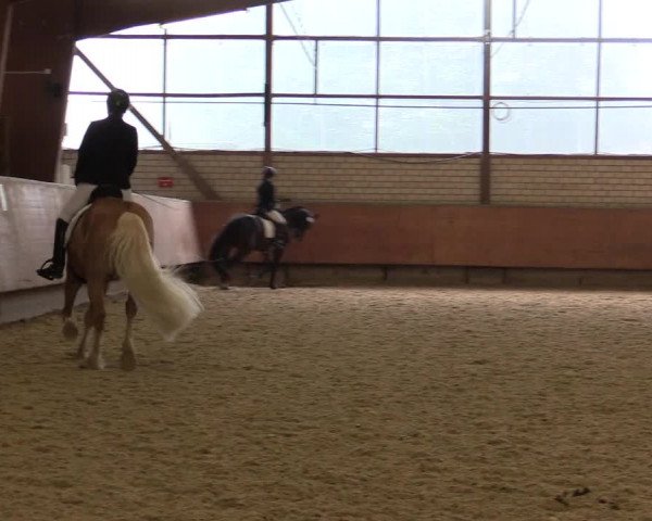 Reitturnier Hellefeld 2018