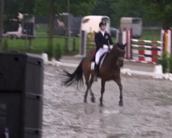 Reitturnier Ahlen 2018
