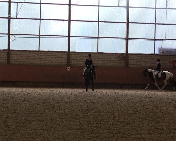Reitturnier Hellefeld 2018