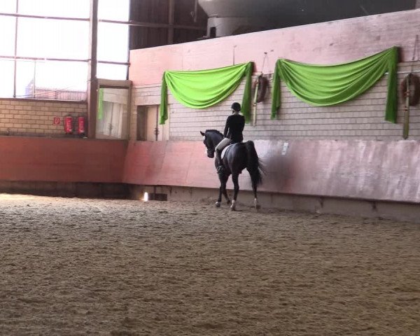 Reitturnier Hellefeld 2018