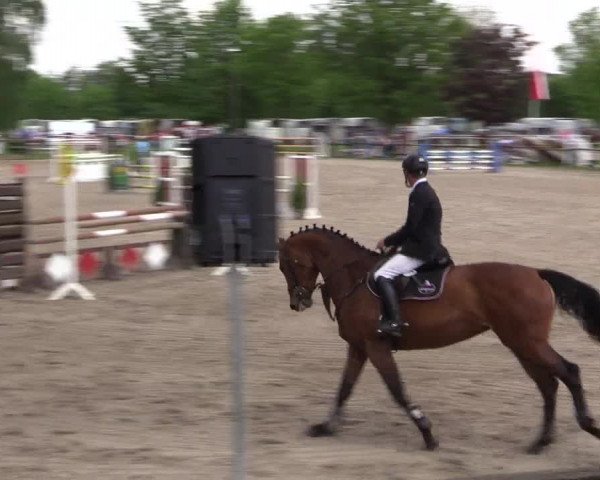 Reitturnier Ahlen 2018