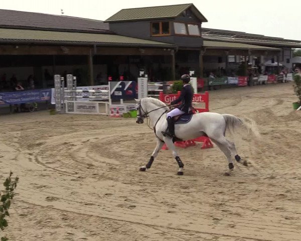 Reitturnier Hellefeld 2018