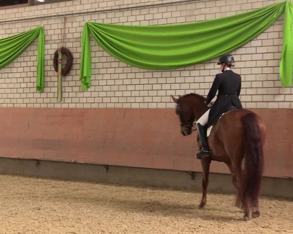 Reitturnier Hellefeld 2018