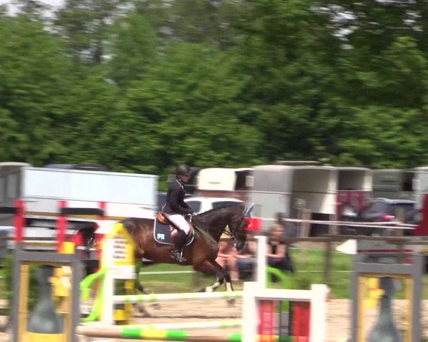 Reitturnier Ahlen 2018