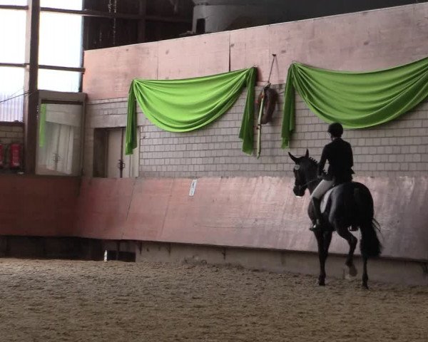 Reitturnier Hellefeld 2018