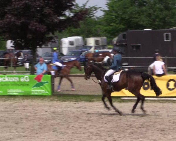 Reitturnier Ahlen 2018