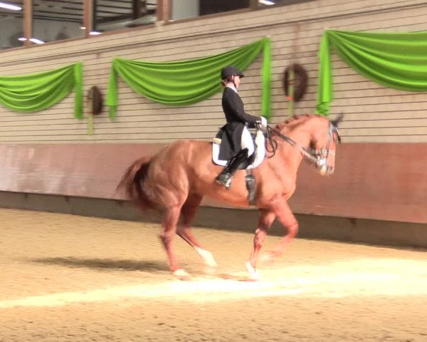 Reitturnier Hellefeld 2018