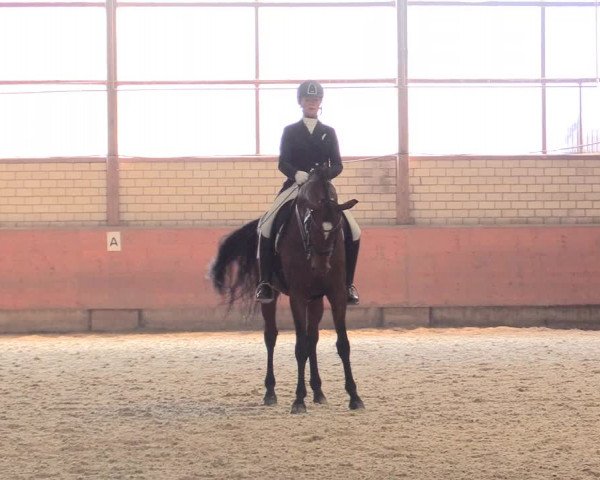 Reitturnier Hellefeld 2018