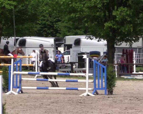 Reitturnier Ahlen 2018