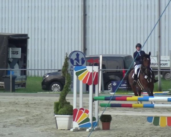 Reitturnier Ratingen-Lintorf 2018