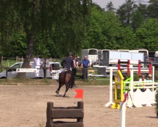 Reitturnier Ahlen 2018