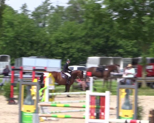 Reitturnier Ahlen 2018