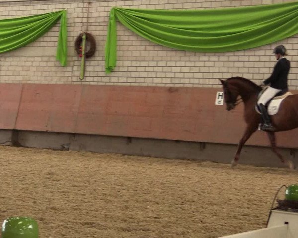 Reitturnier Hellefeld 2018