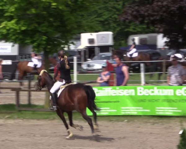 Reitturnier Ahlen 2018
