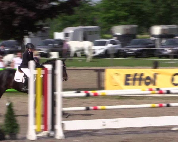 Reitturnier Ahlen 2018