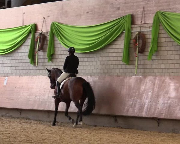 Reitturnier Hellefeld 2018