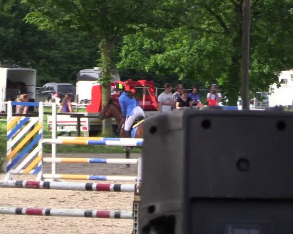Reitturnier Ahlen 2018