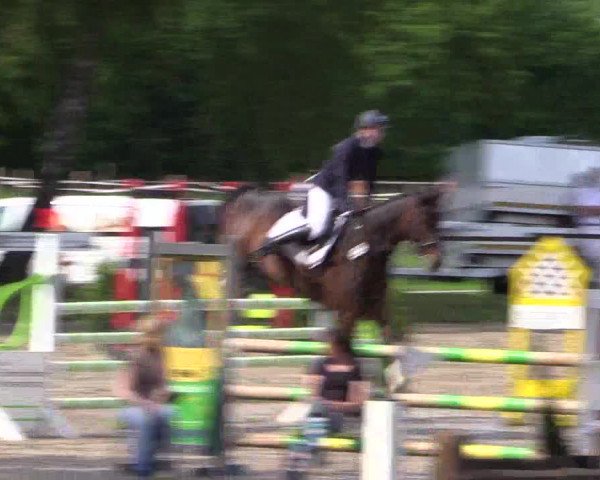 Reitturnier Ahlen 2018