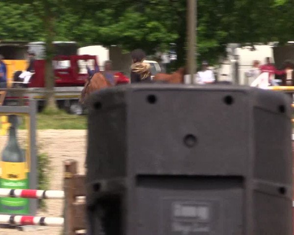 Reitturnier Ahlen 2018
