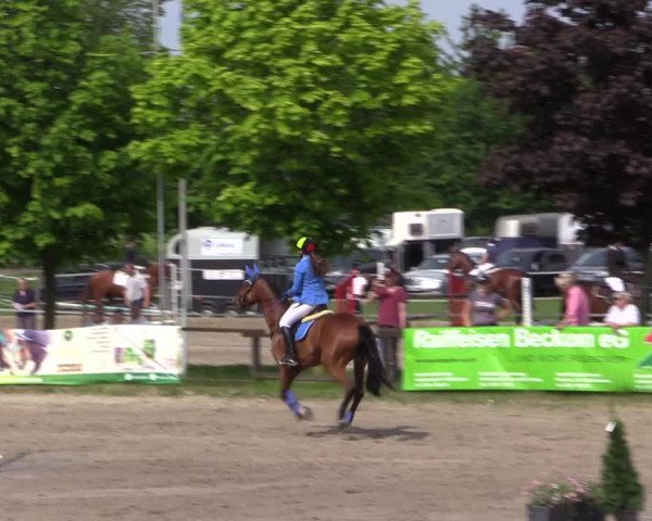 Reitturnier Ahlen 2018