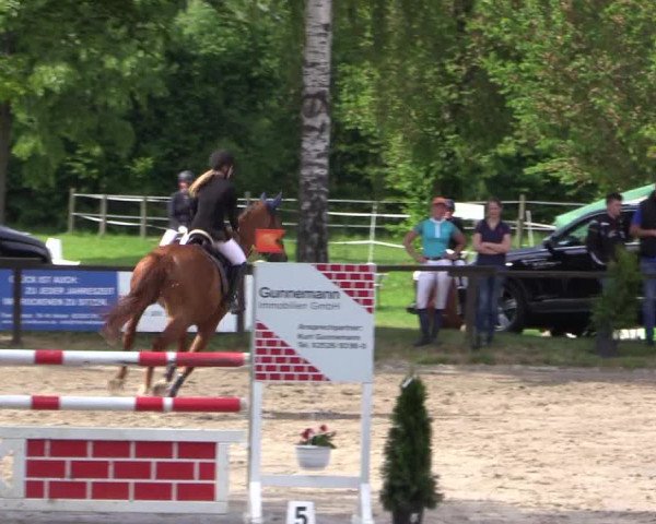 Reitturnier Ahlen 2018