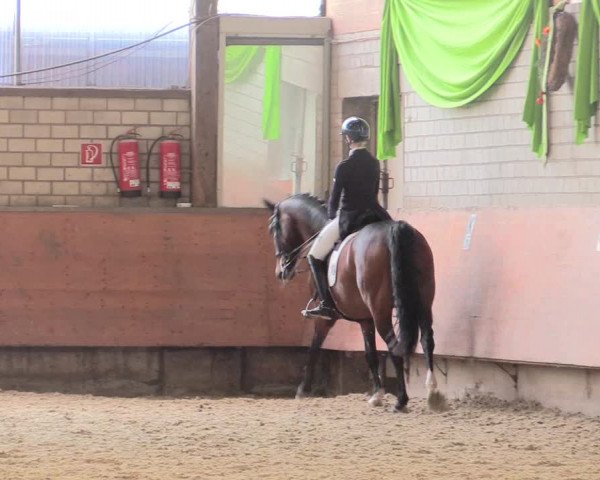 Reitturnier Hellefeld 2018