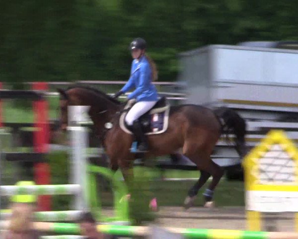 Reitturnier Ahlen 2018