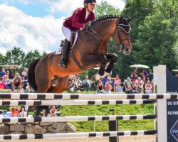 stallion Cornet’s Balou (Oldenburg show jumper, 2006, from Cornet Obolensky)