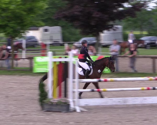 Reitturnier Ahlen 2018