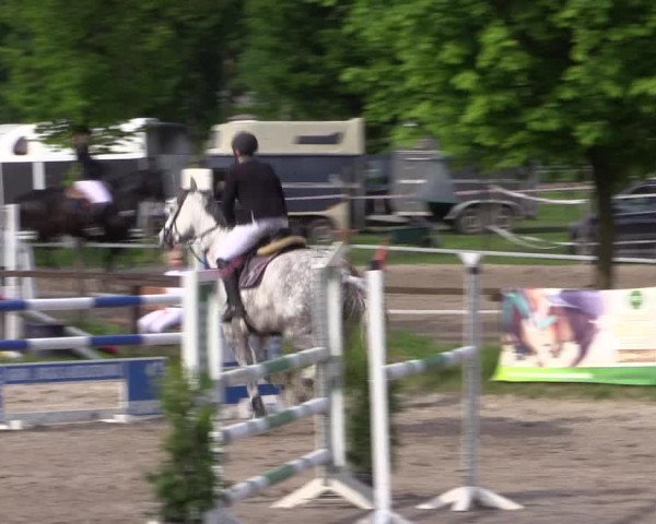 Reitturnier Ahlen 2018