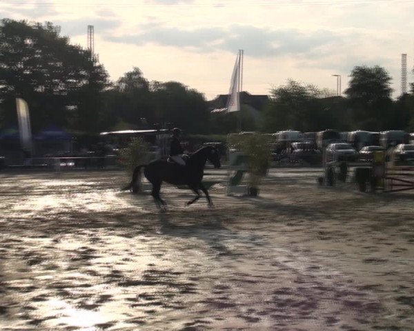 Reitturnier Ratingen-Lintorf 2018
