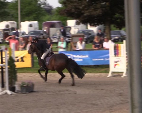 Reitturnier Ahlen 2018