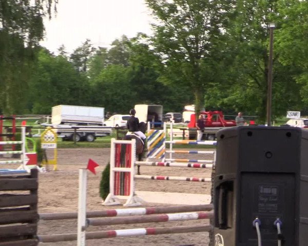 Reitturnier Ahlen 2018