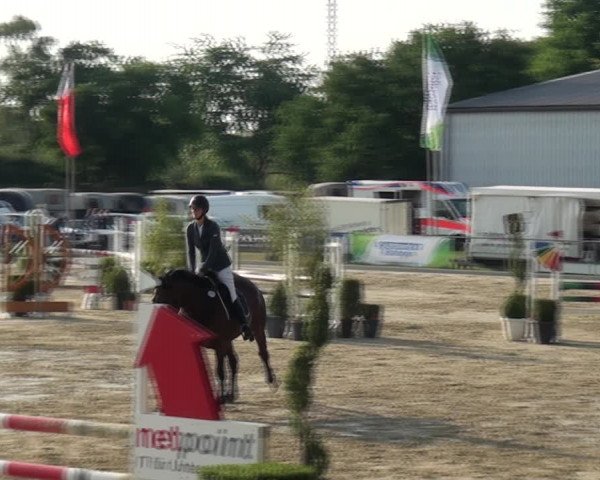 Reitturnier Ratingen-Lintorf 2018
