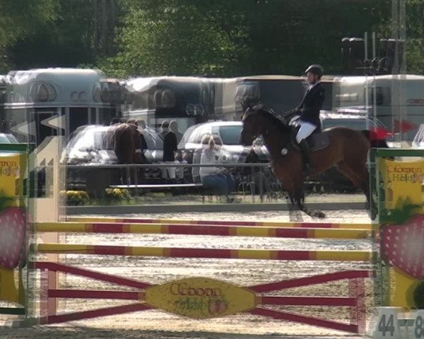 Reitturnier Ratingen-Lintorf 2018