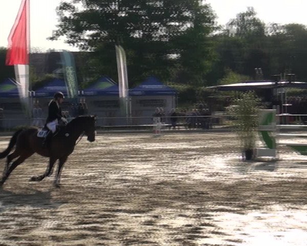 Reitturnier Ratingen-Lintorf 2018